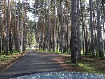 Фотографии Дома для отпуска Casa Georgea г. Сэчеле (Румыния) №5 Фото Дома для отпуска Casa Georgea г. Сэчеле 5